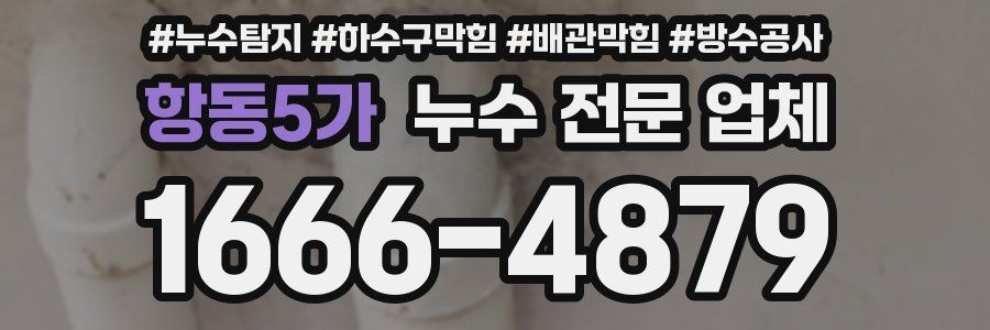 항동5가 누수 전문 업체