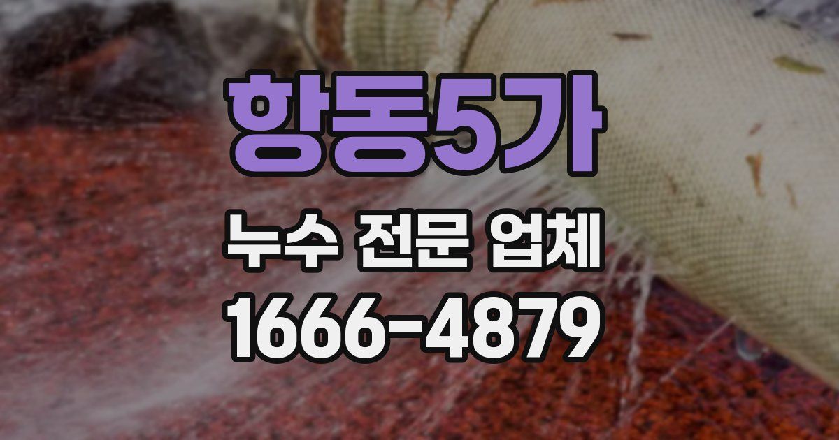 항동5가 누수 전문 업체