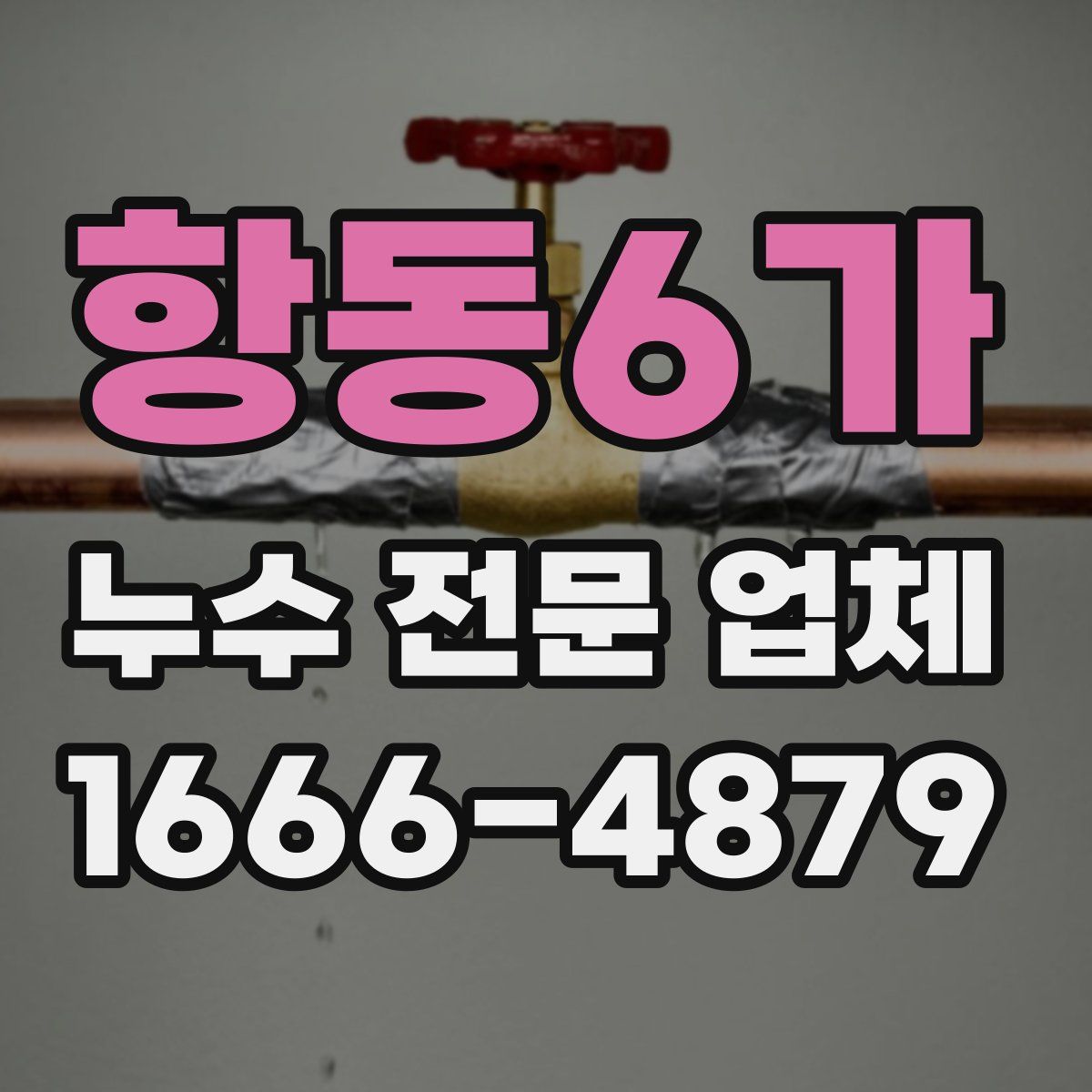 항동6가 누수 전문 업체