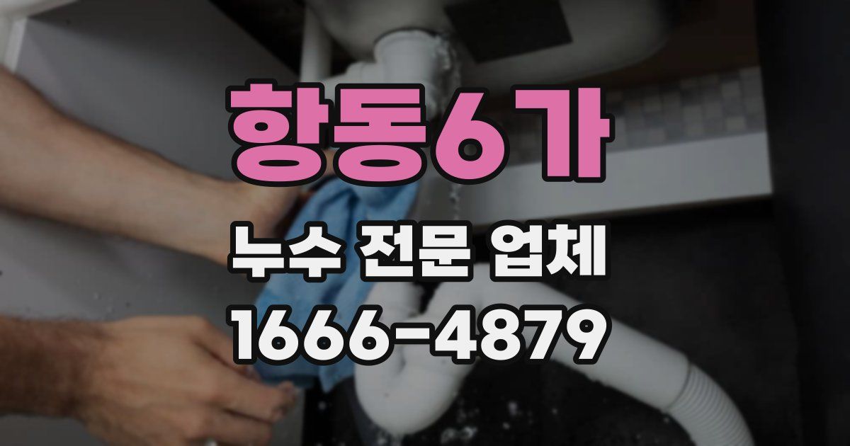 항동6가 누수 전문 업체