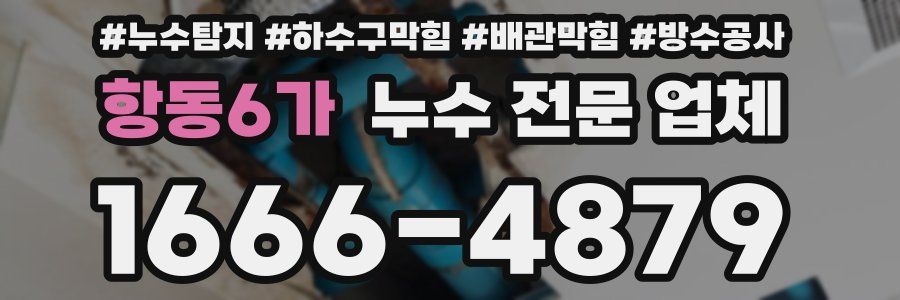 항동6가 누수 전문 업체