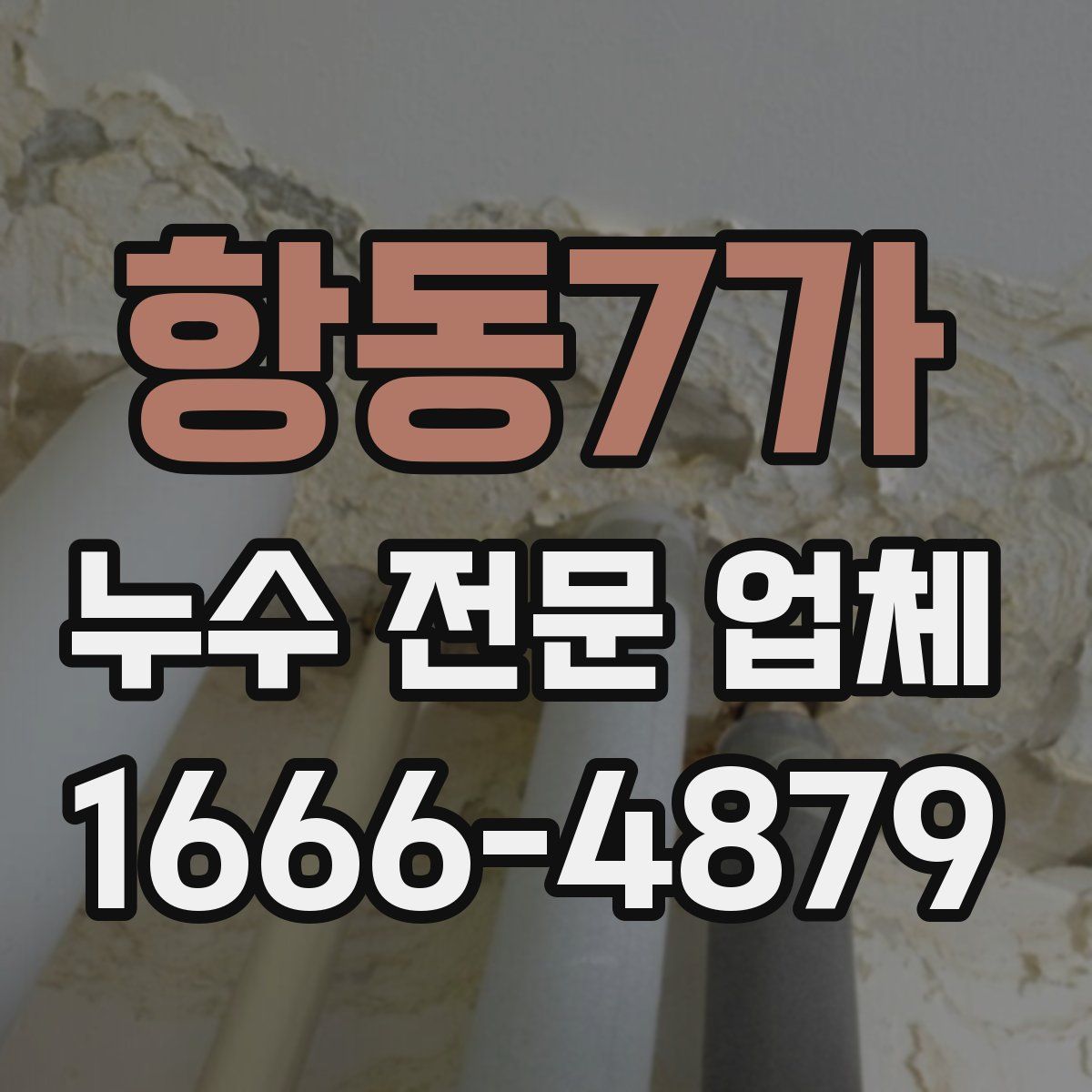 항동7가 누수 전문 업체