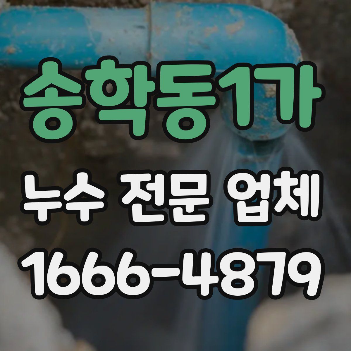 송학동1가 누수 전문 업체