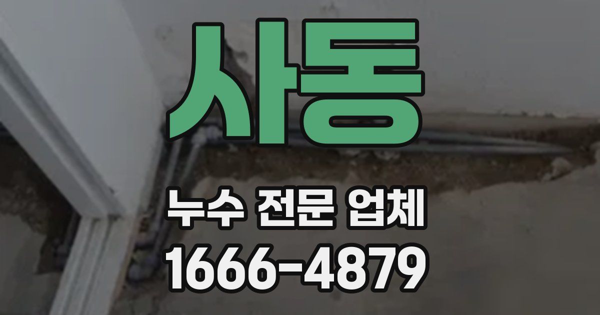 사동 누수 전문 업체