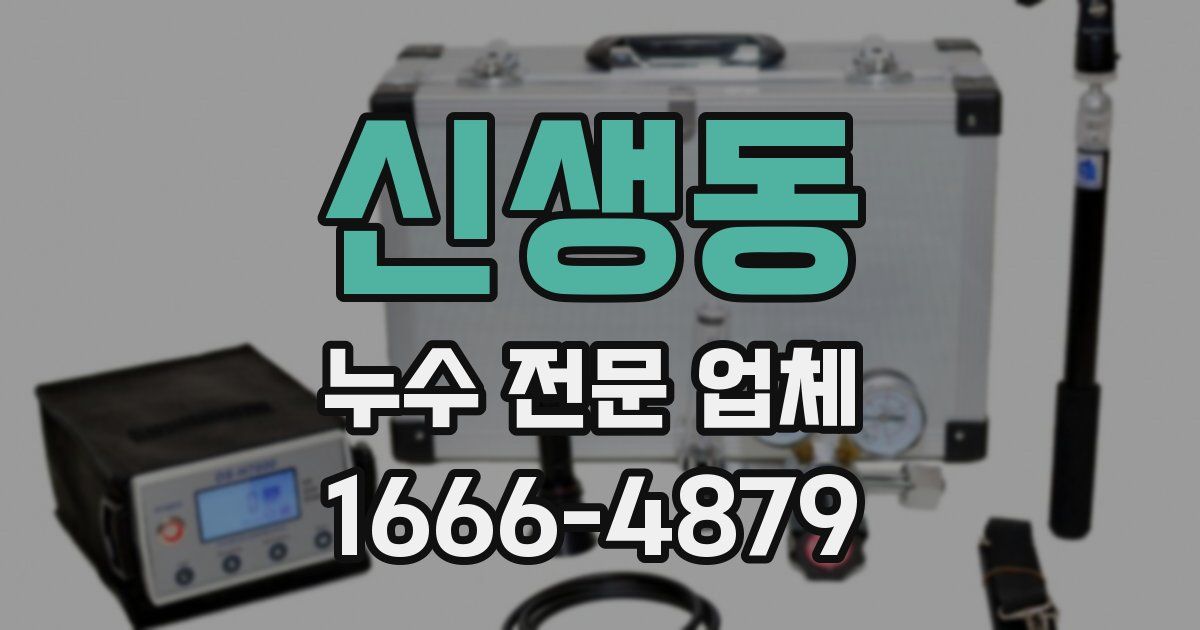 신생동 누수 전문 업체