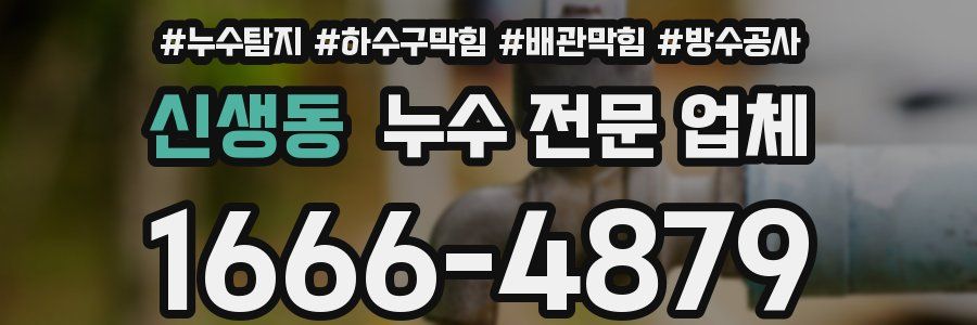 신생동 누수 전문 업체