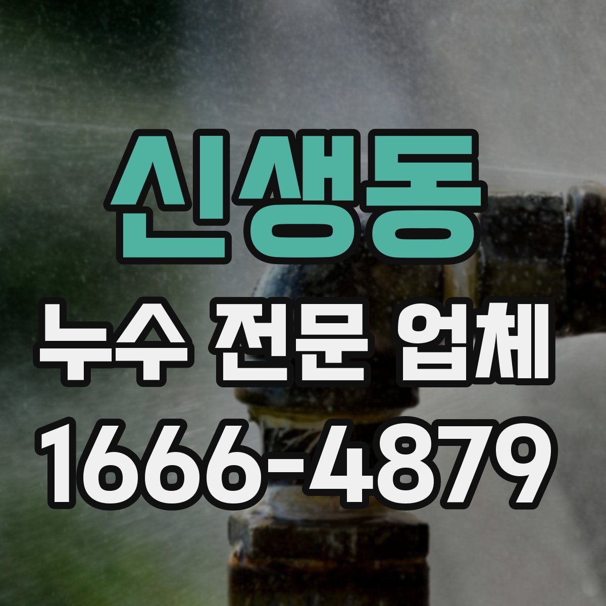 신생동 누수 전문 업체