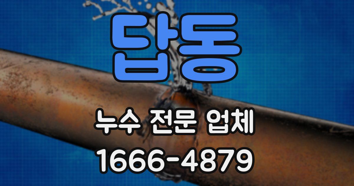 답동 누수 전문 업체