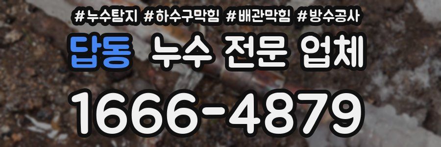 답동 누수 전문 업체