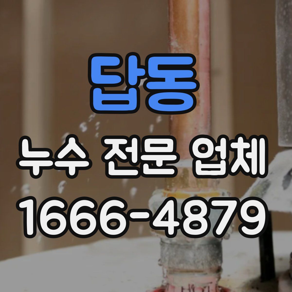 답동 누수 전문 업체