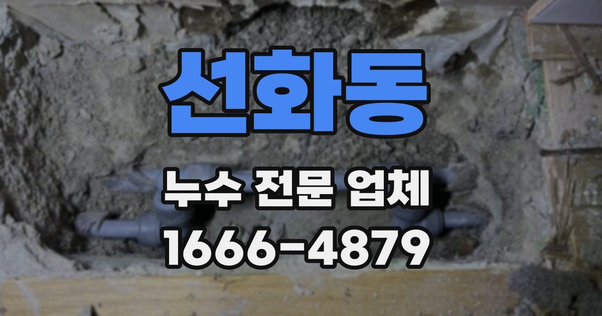 선화동 누수 전문 업체