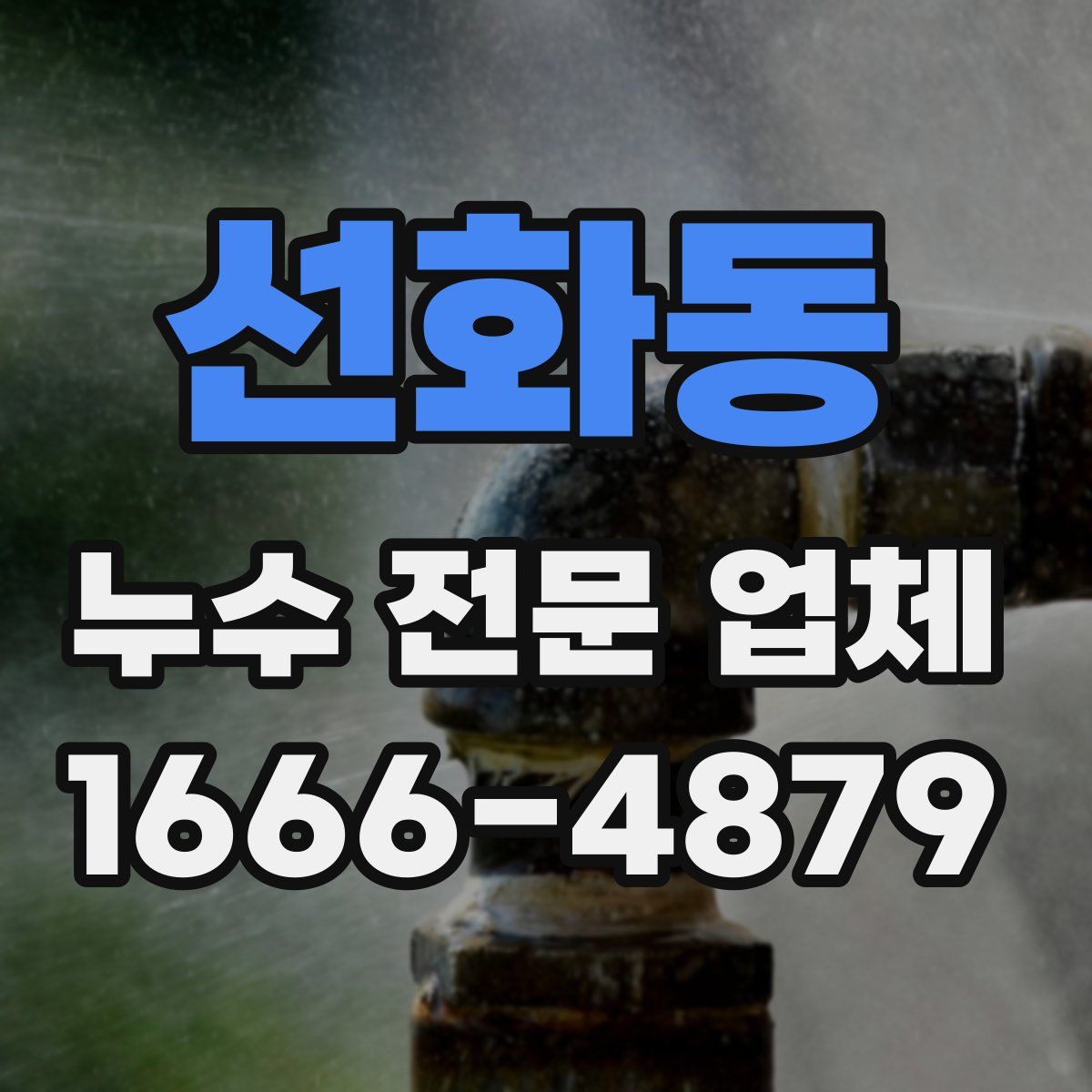 선화동 누수 전문 업체