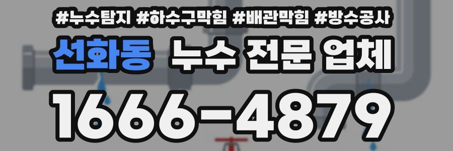 선화동 누수 전문 업체