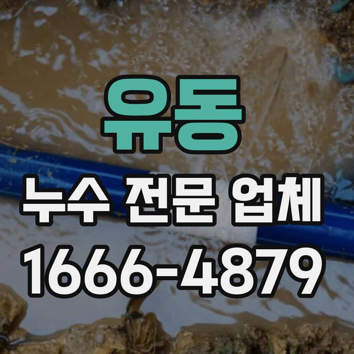 유동 누수 전문 업체