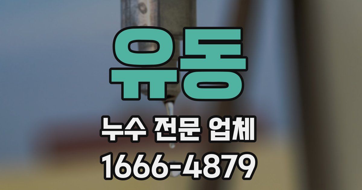 유동 누수 전문 업체