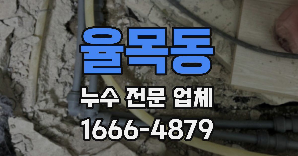 율목동 누수 전문 업체