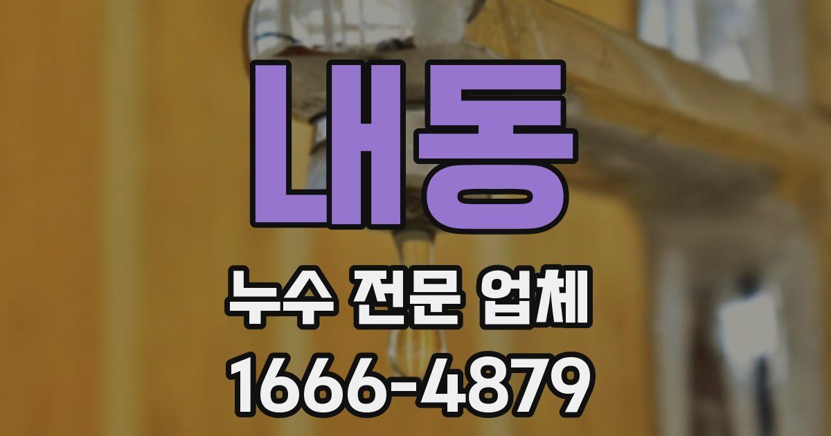내동 누수 전문 업체