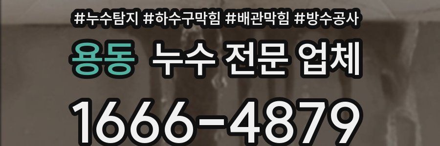 용동 누수 전문 업체