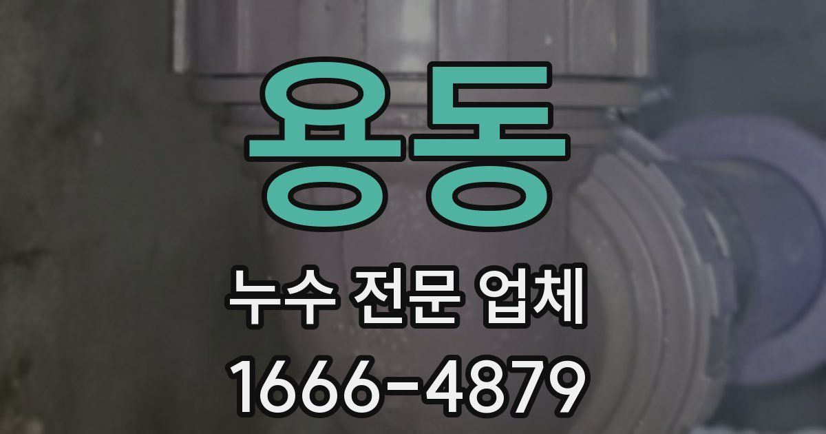 용동 누수 전문 업체