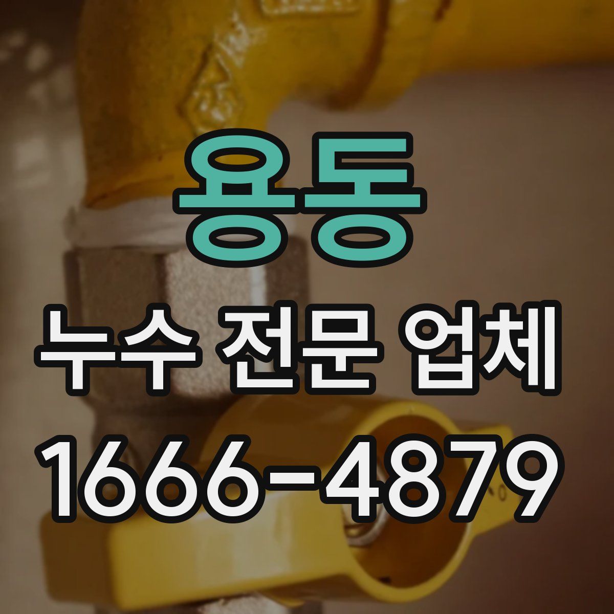 용동 누수 전문 업체