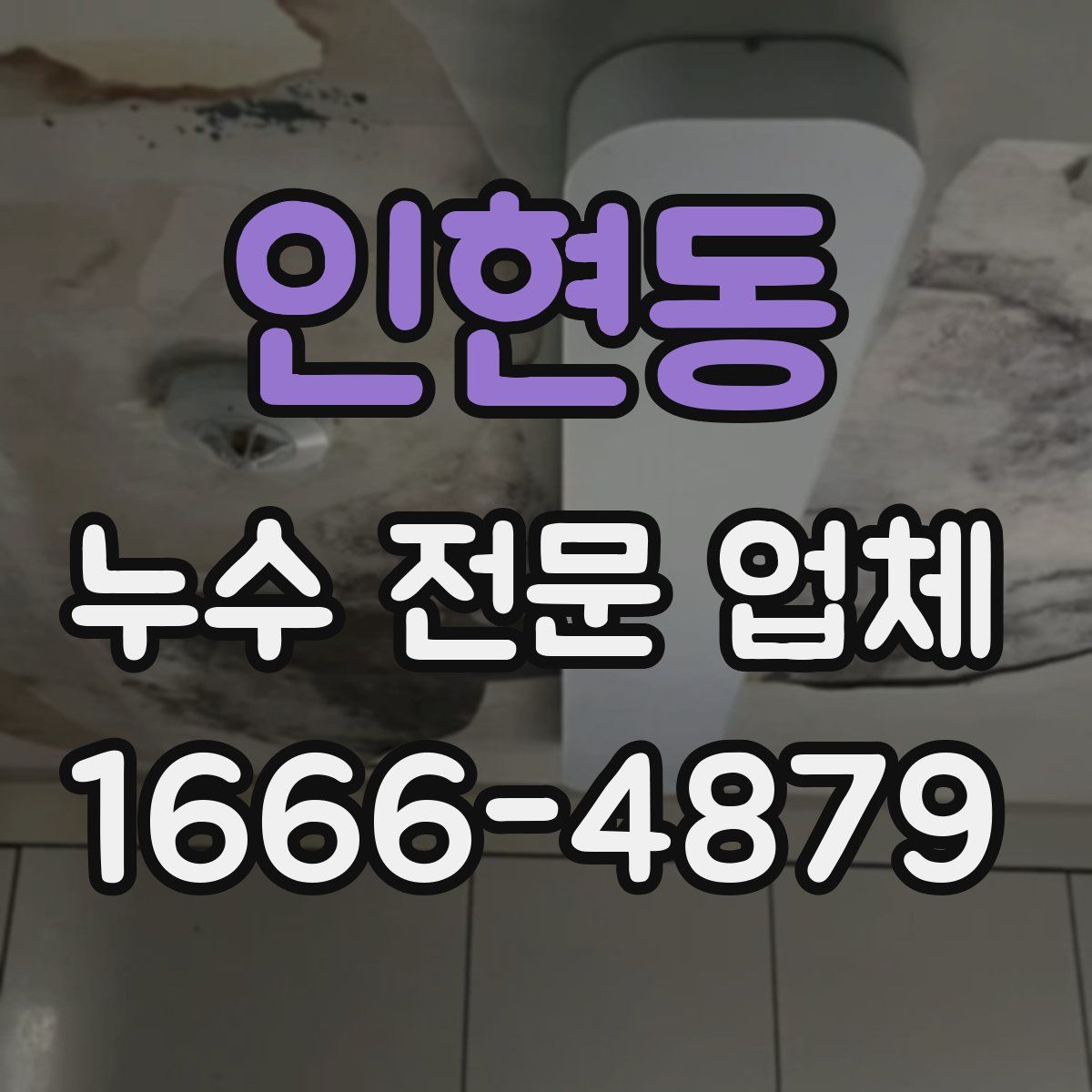 인현동 누수 전문 업체
