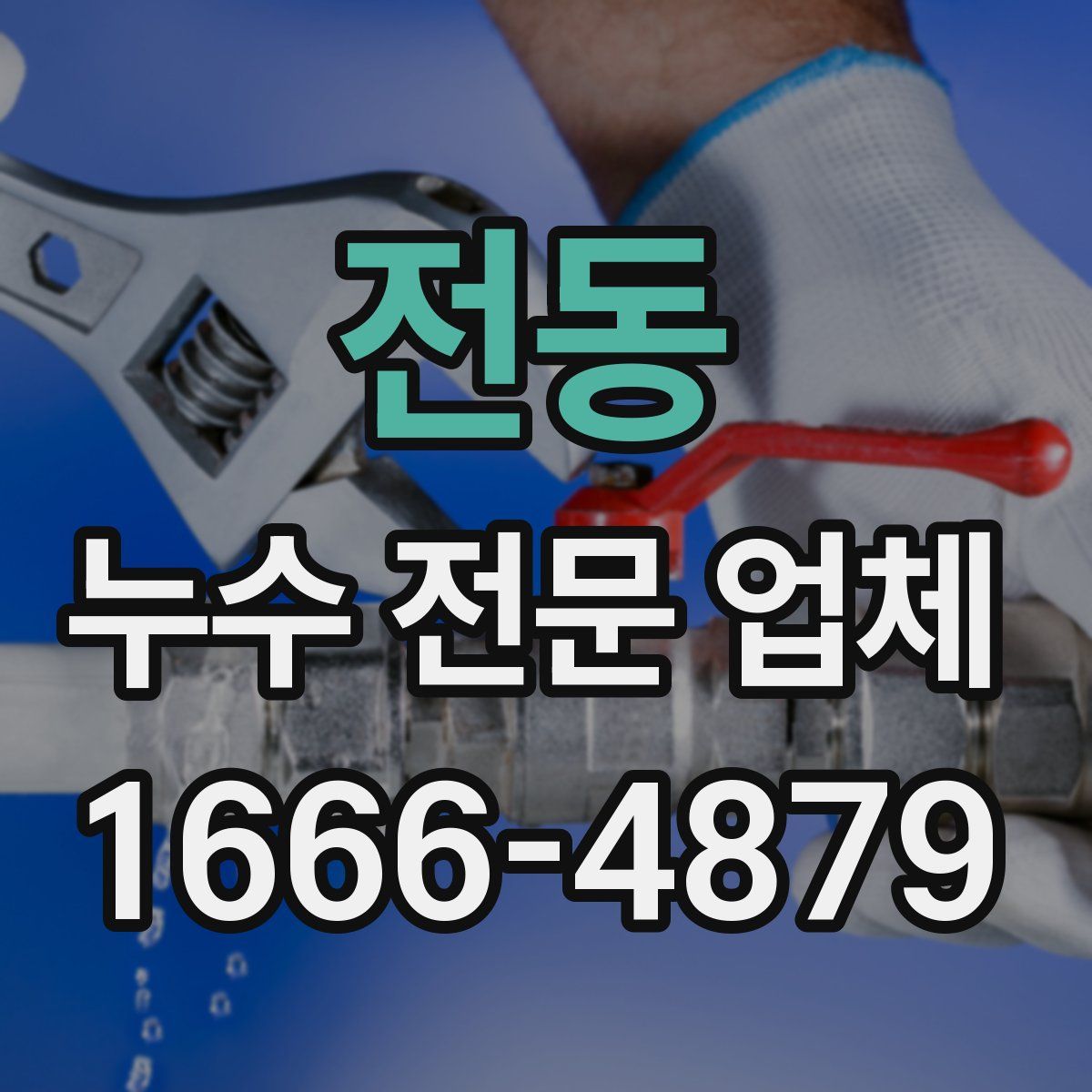 전동 누수 전문 업체