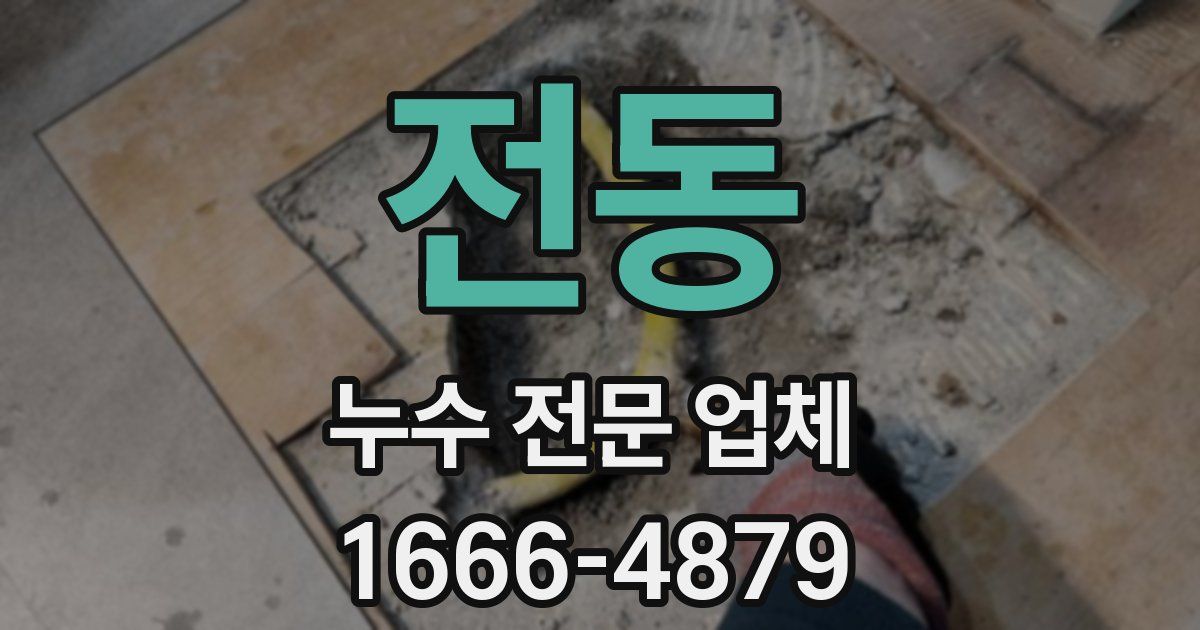 전동 누수 전문 업체