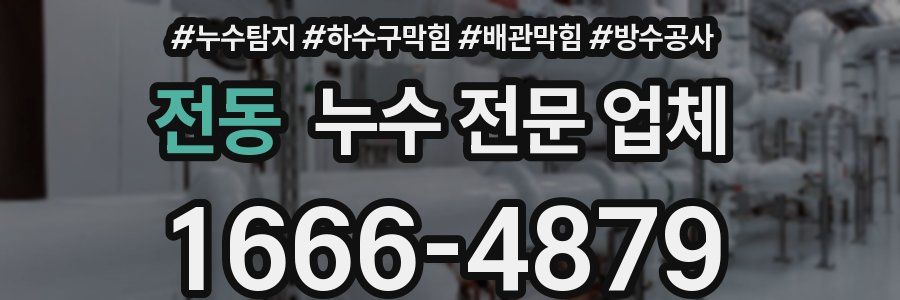 전동 누수 전문 업체
