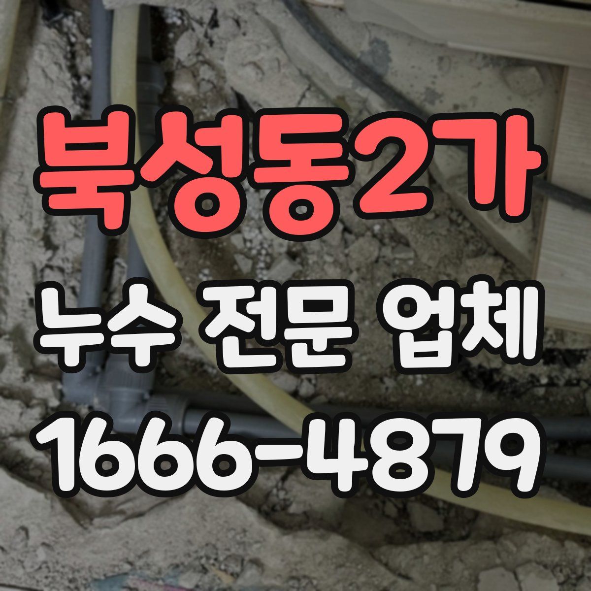 북성동2가 누수 전문 업체
