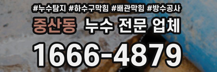중산동 누수 전문 업체
