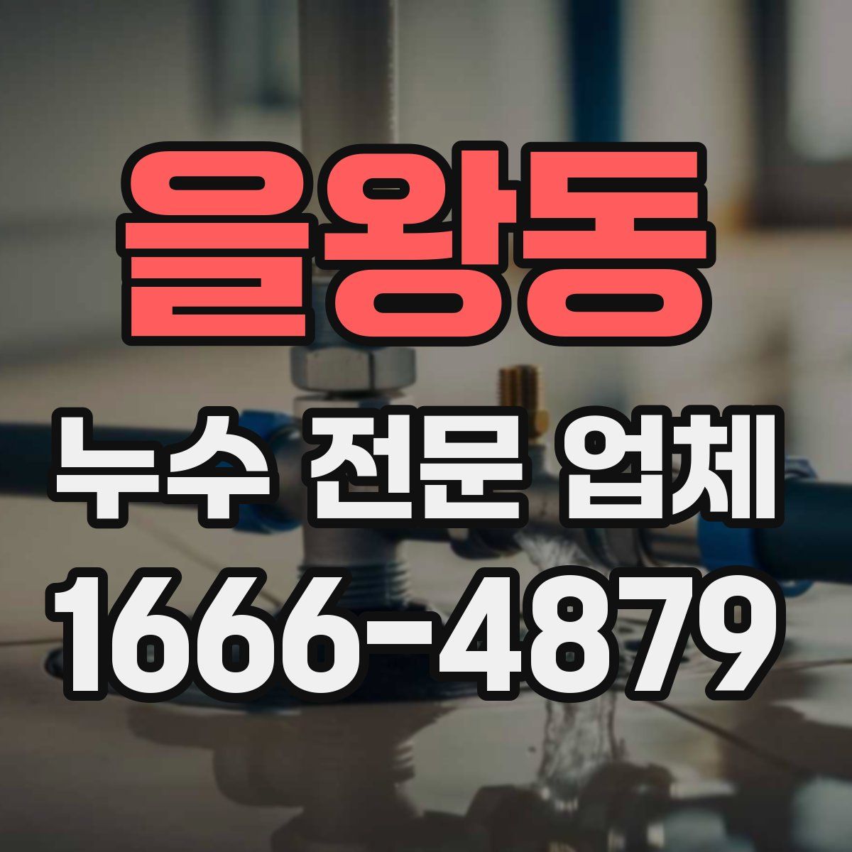 을왕동 누수 전문 업체
