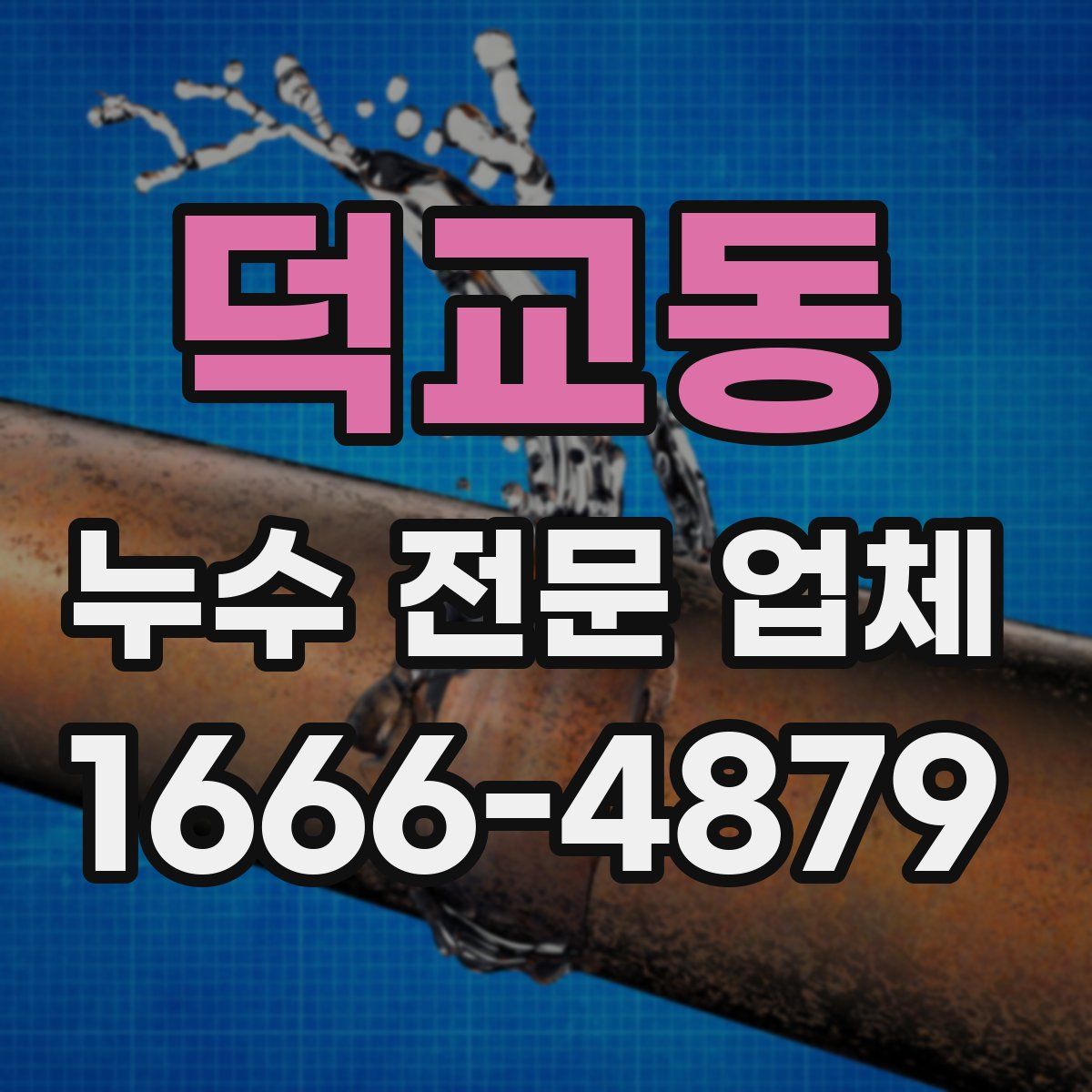덕교동 누수 전문 업체