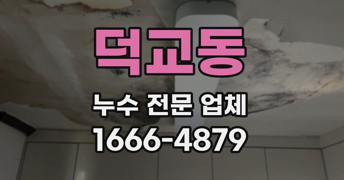 덕교동 누수 전문 업체