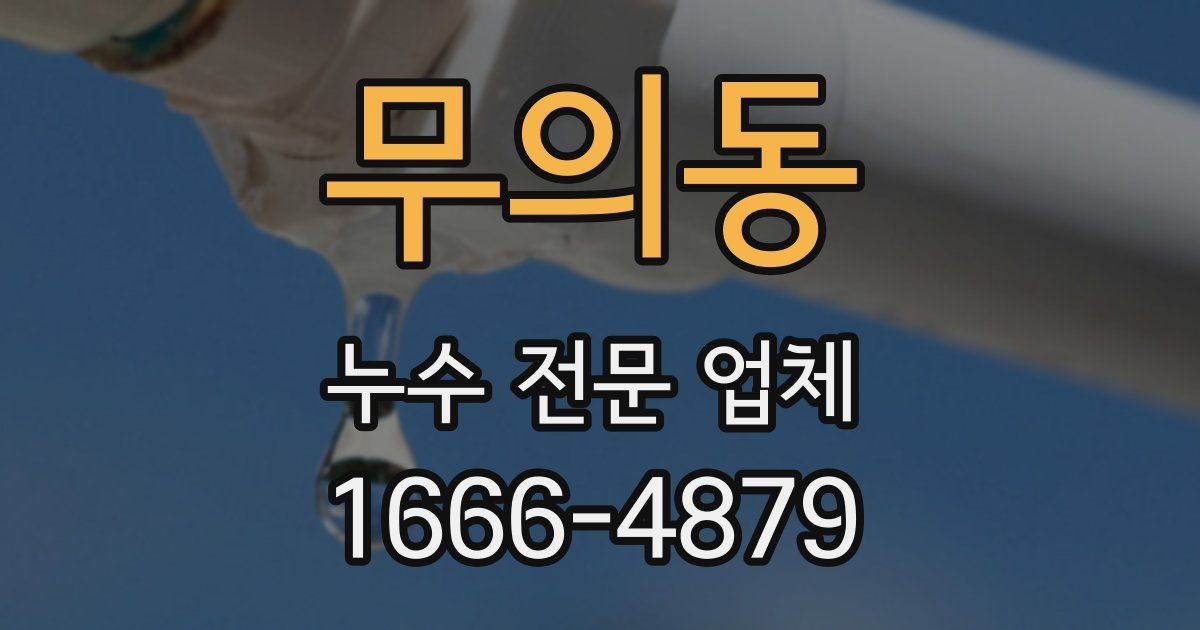 무의동 누수 전문 업체