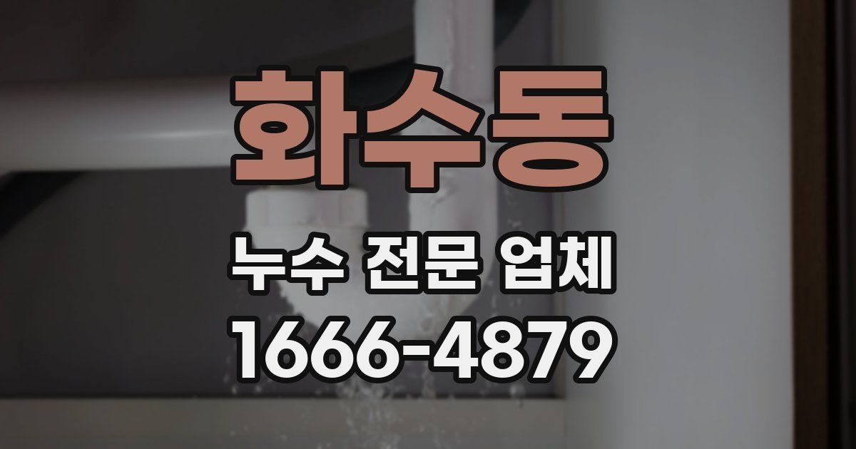 화수동 누수 전문 업체