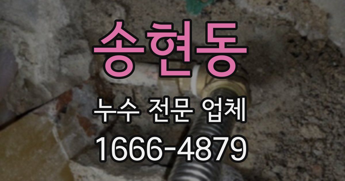 송현동 누수 전문 업체