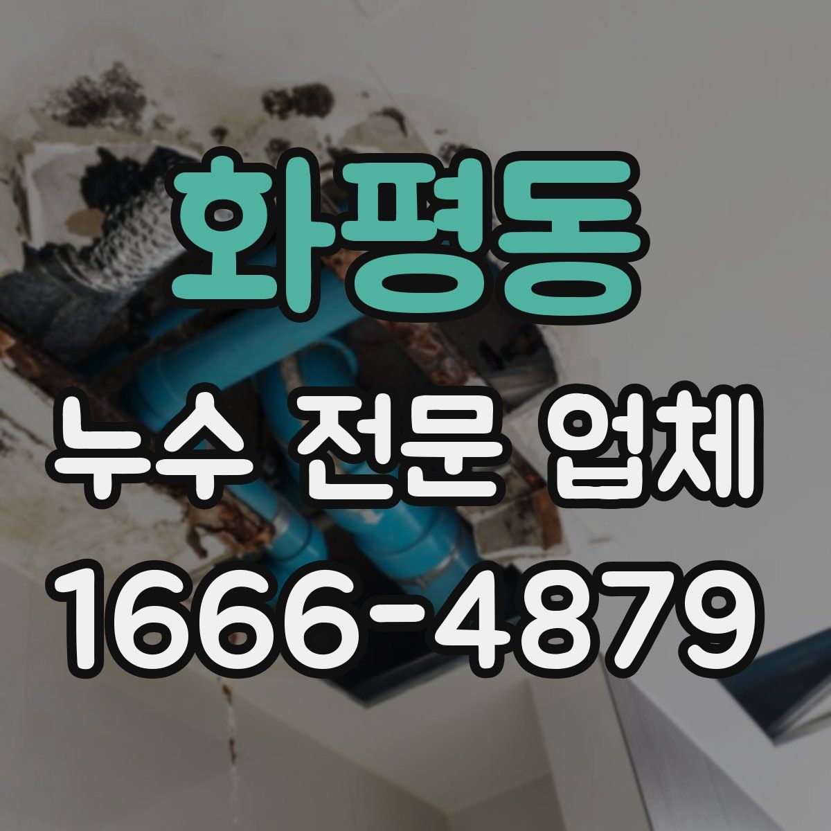 화평동 누수 전문 업체