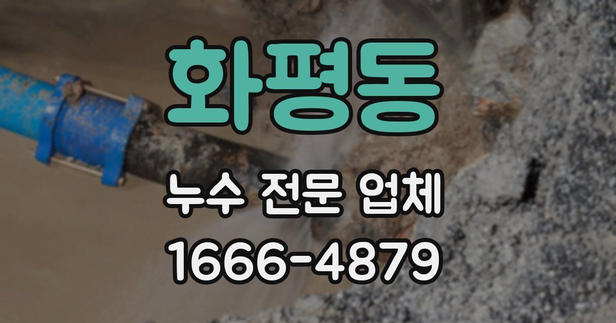 화평동 누수 전문 업체