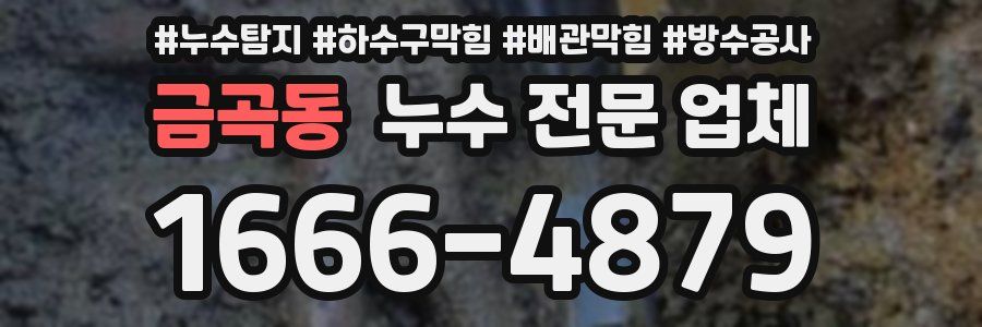 금곡동 누수 전문 업체