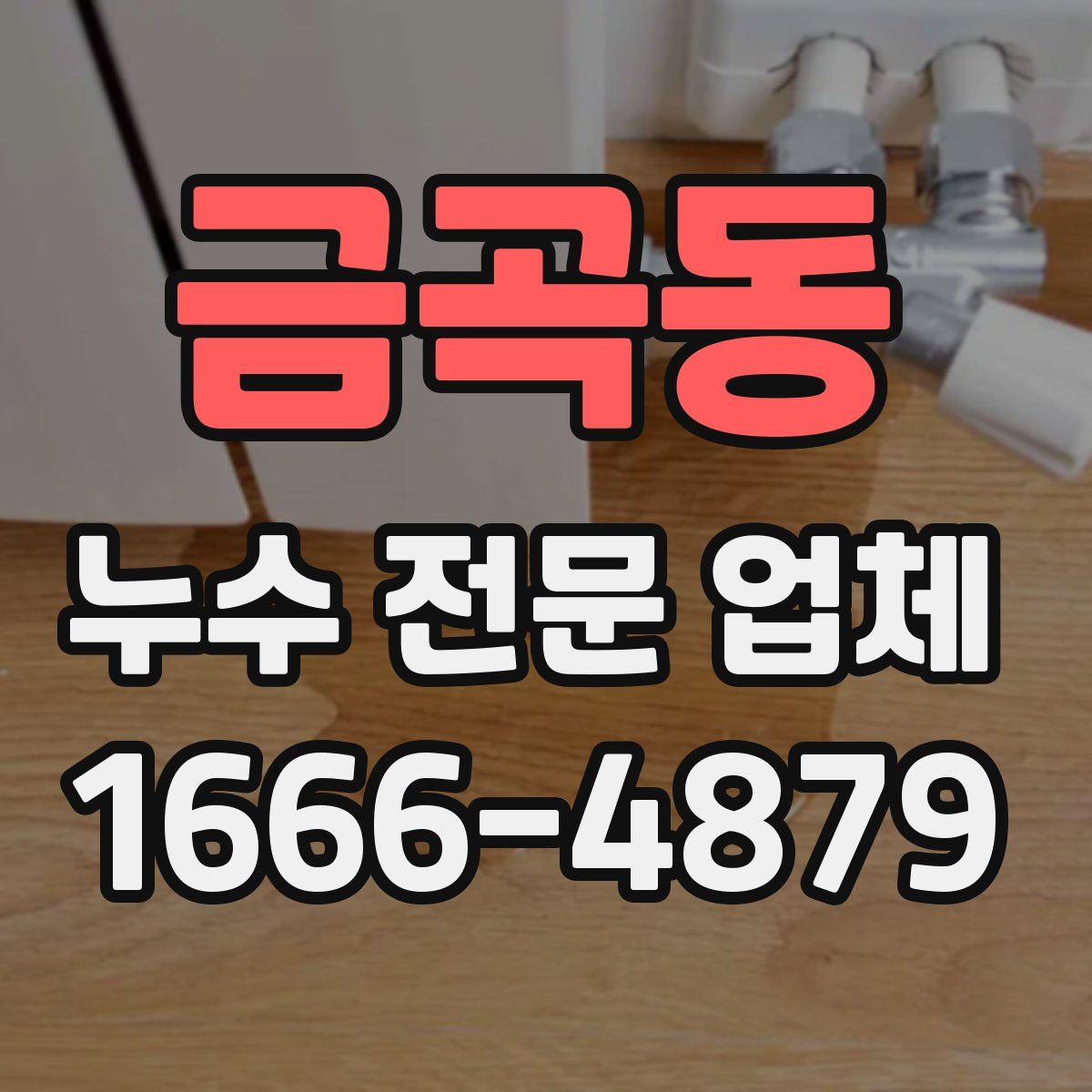 금곡동 누수 전문 업체
