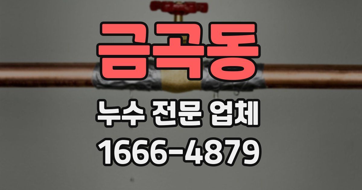 금곡동 누수 전문 업체