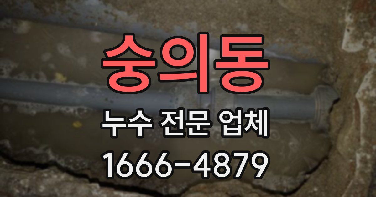 숭의동 누수 전문 업체