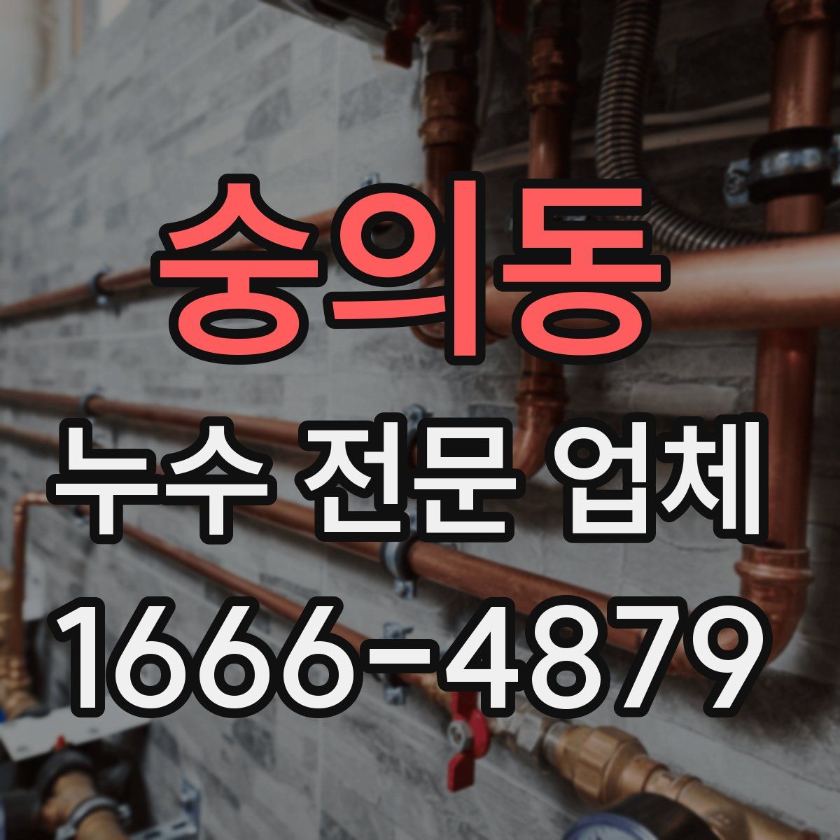 숭의동 누수 전문 업체