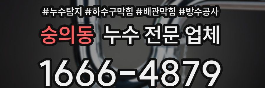 숭의동 누수 전문 업체