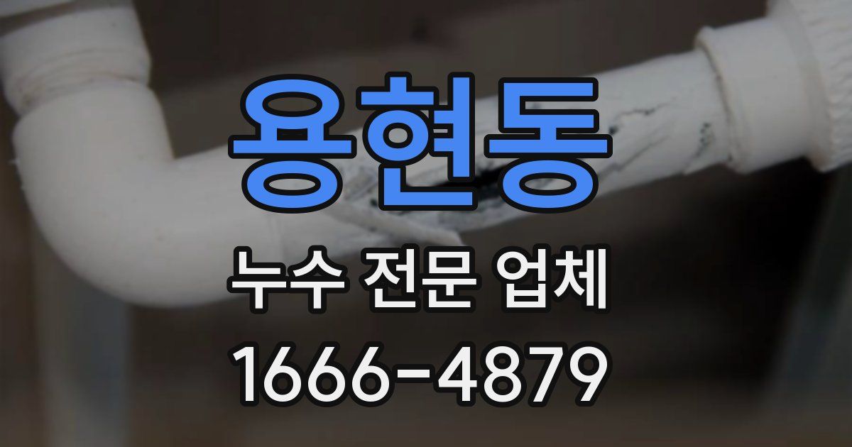 용현동 누수 전문 업체