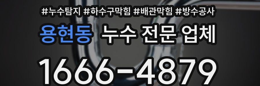 용현동 누수 전문 업체