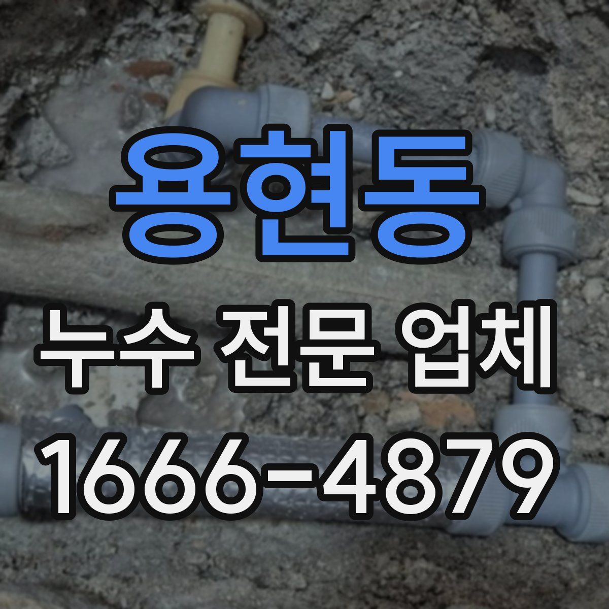 용현동 누수 전문 업체