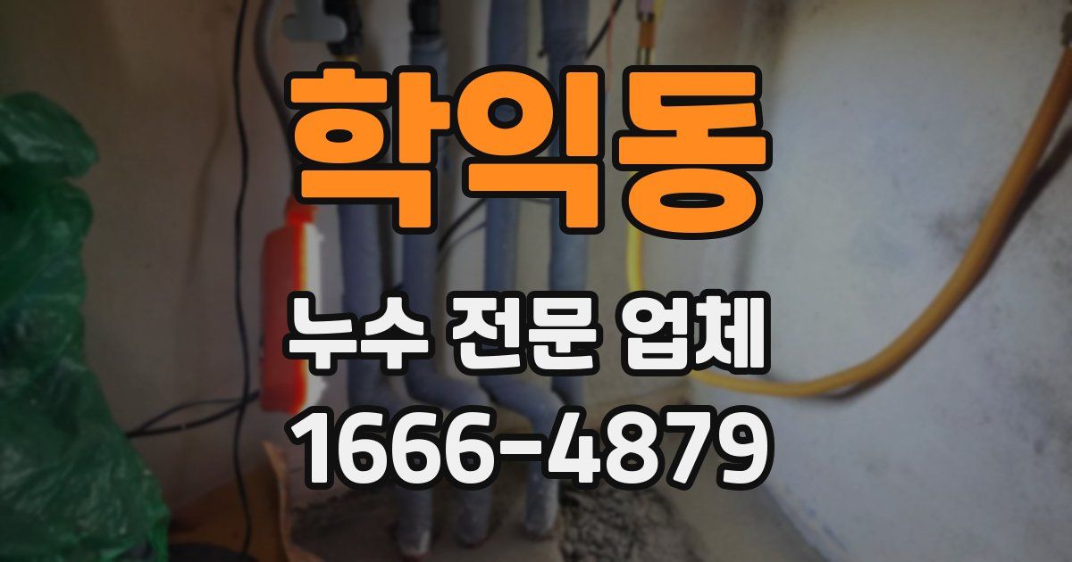 학익동 누수 전문 업체