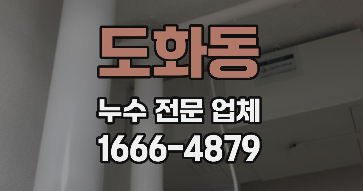 도화동 누수 전문 업체