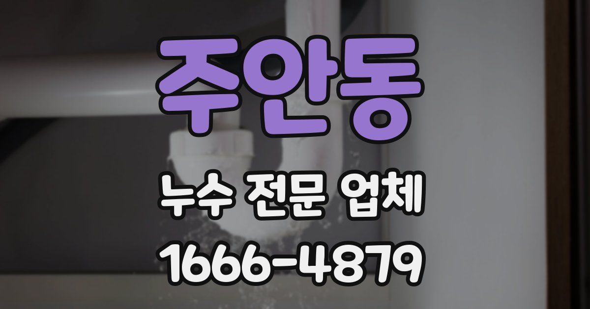 주안동 누수 전문 업체
